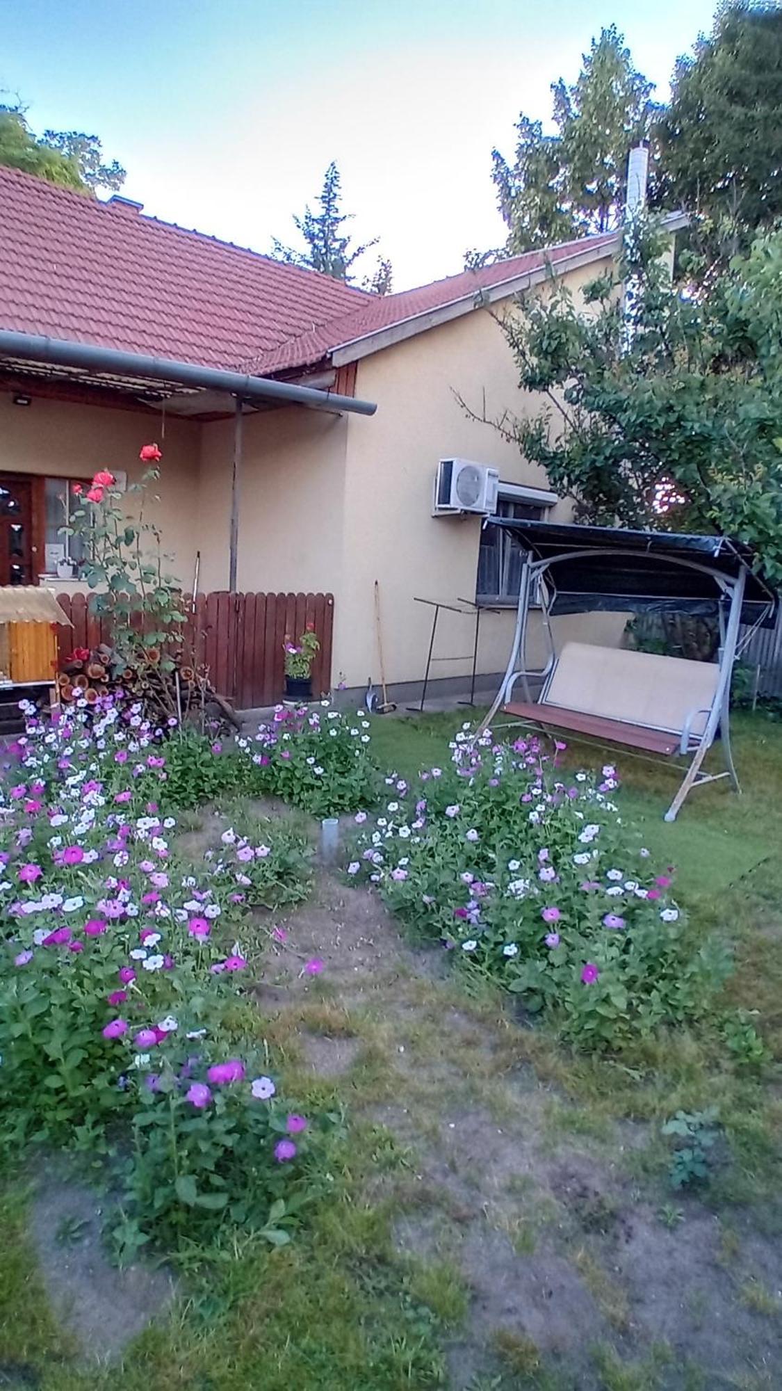 Spacious House In The Outskirts Of * Budapeste
