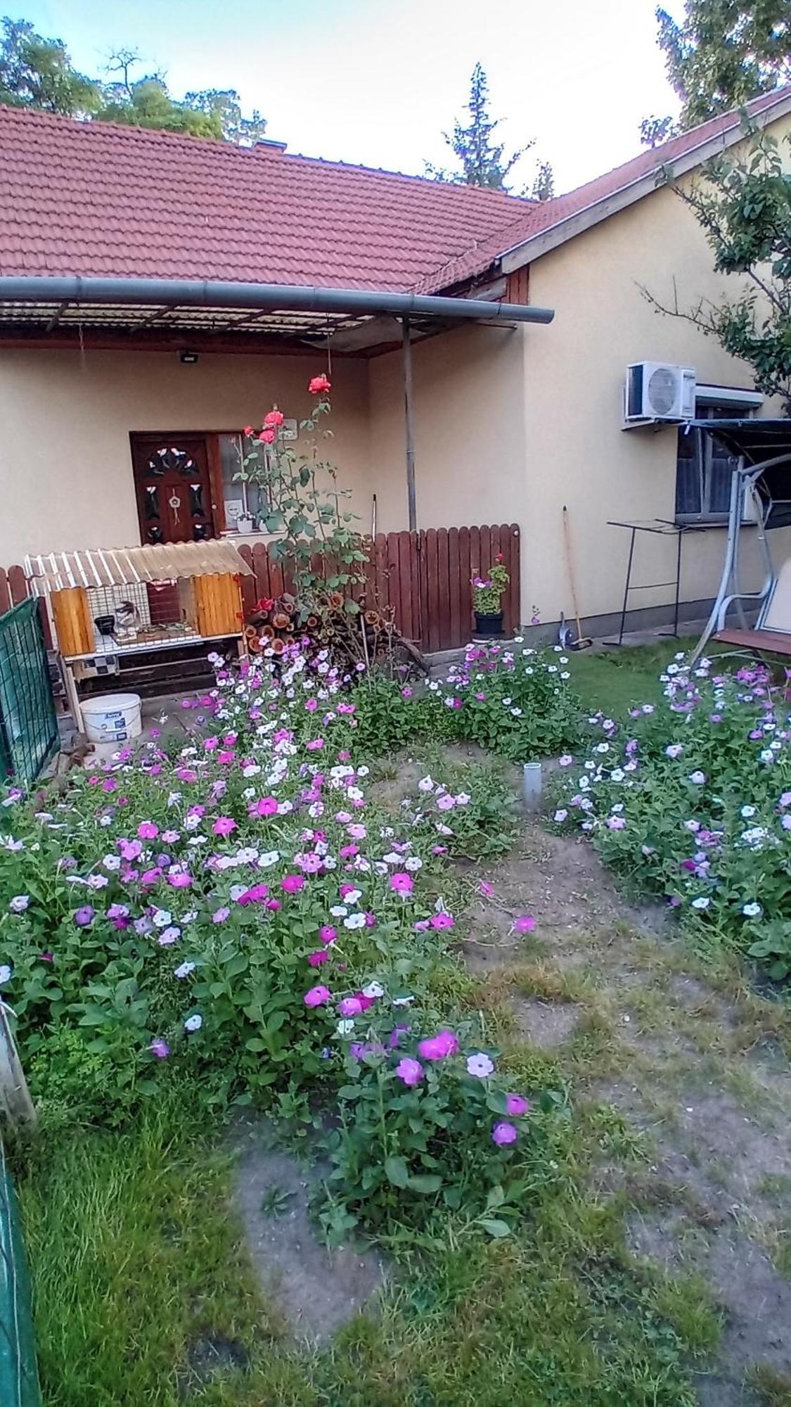 Spacious House In The Outskirts Of Apartamento *